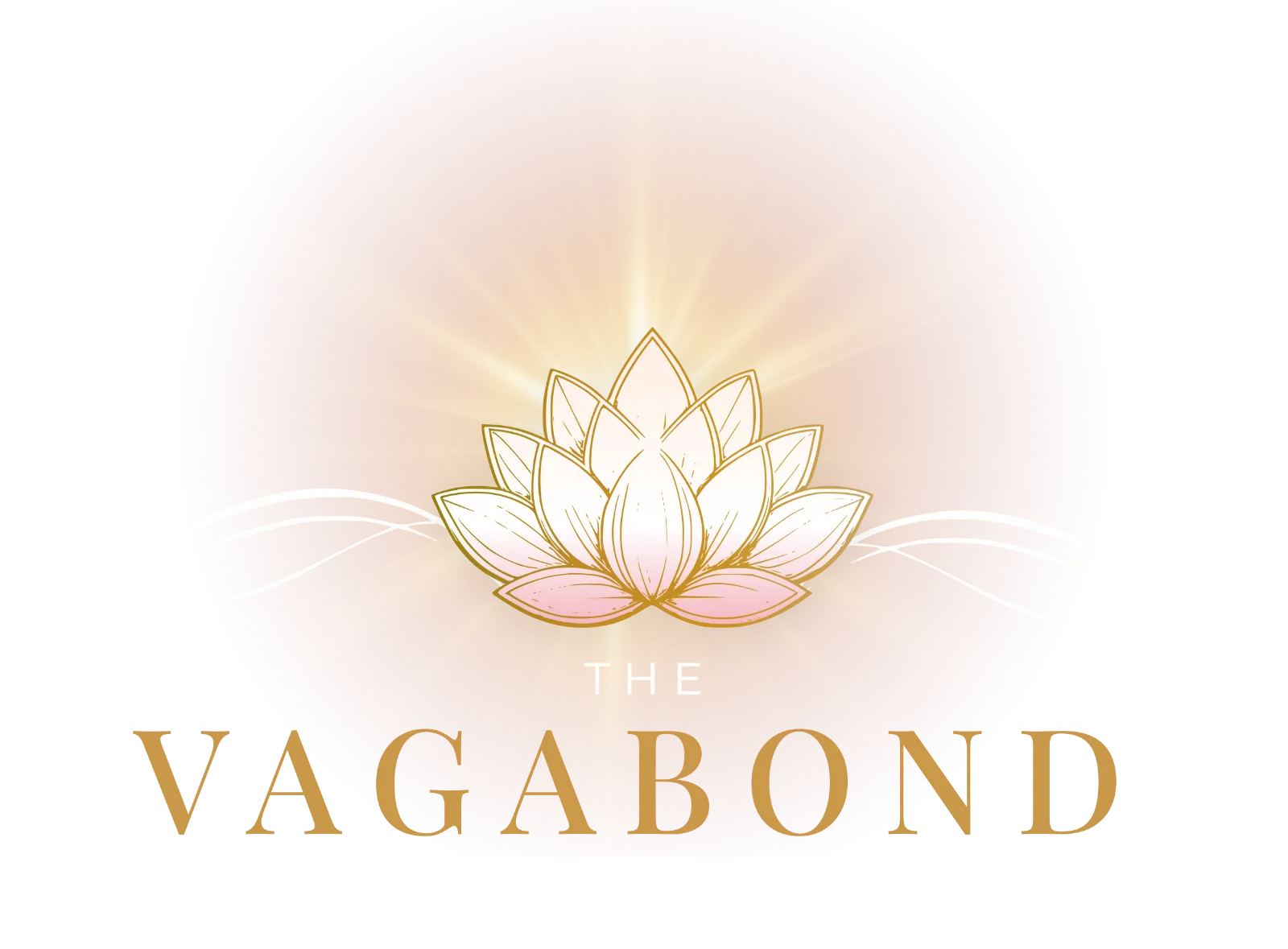 Vagabond Healer